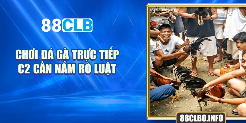 Chơi đá gà trực tiếp C2 cần nắm rõ luật