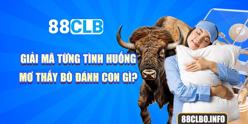 Giải mã từng tình huống mơ thấy bò đánh con gì?