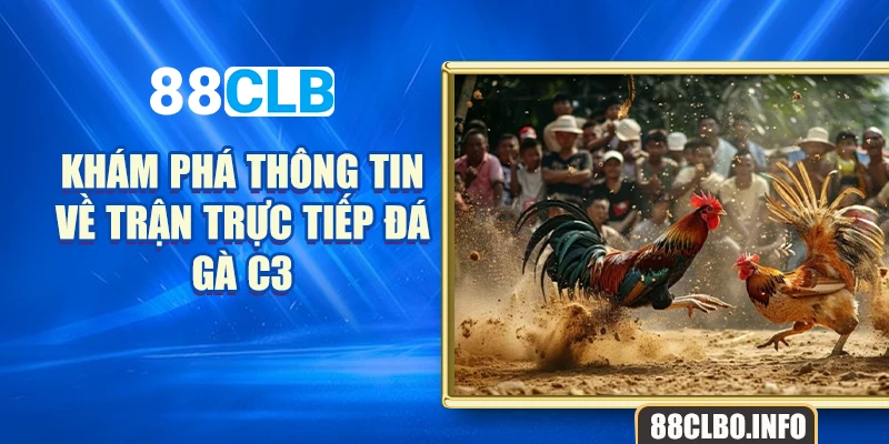 Khám phá thông tin về trận trực tiếp đá gà c3