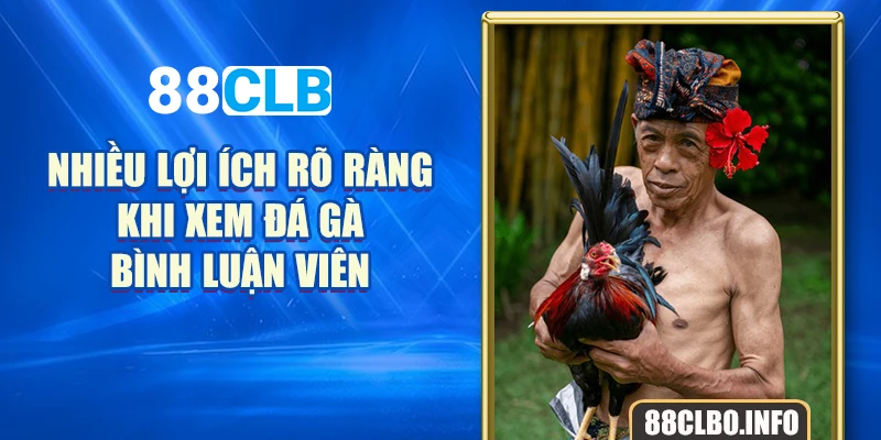 Nhiều lợi ích rõ ràng khi xem đá gà bình luận viên