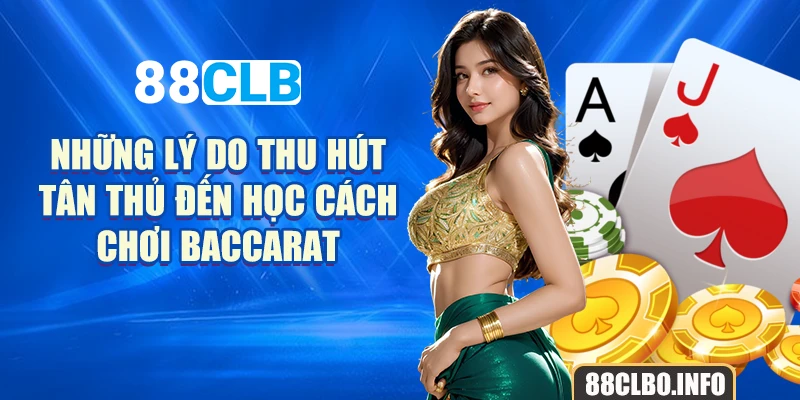 Những lý do thu hút tân thủ đến học cách chơi baccarat