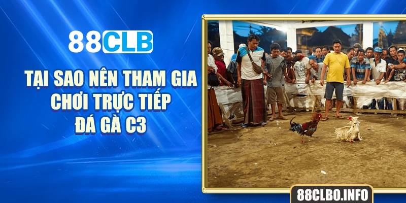 Tại sao nên tham gia chơi trực tiếp đá gà c3