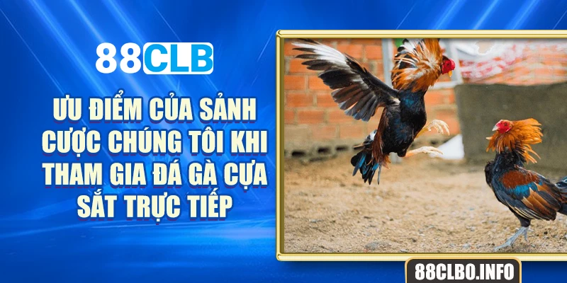 Ưu điểm của sảnh cược chúng tôi khi tham gia đá gà cựa sắt trực tiếp