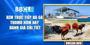 Xem Trực Tiếp Đá Gà Thomo Hôm Nay, Đánh Giá Chi Tiết